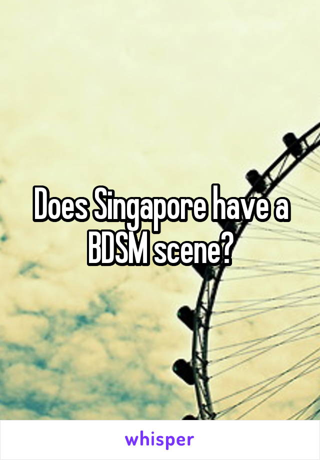 Does Singapore have a BDSM scene?