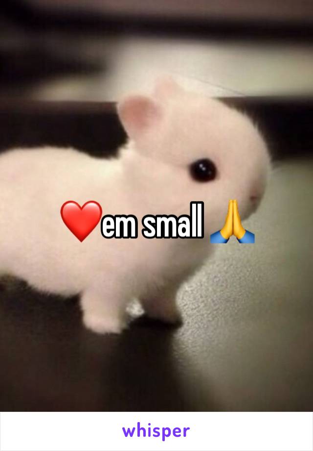 ❤️em small 🙏