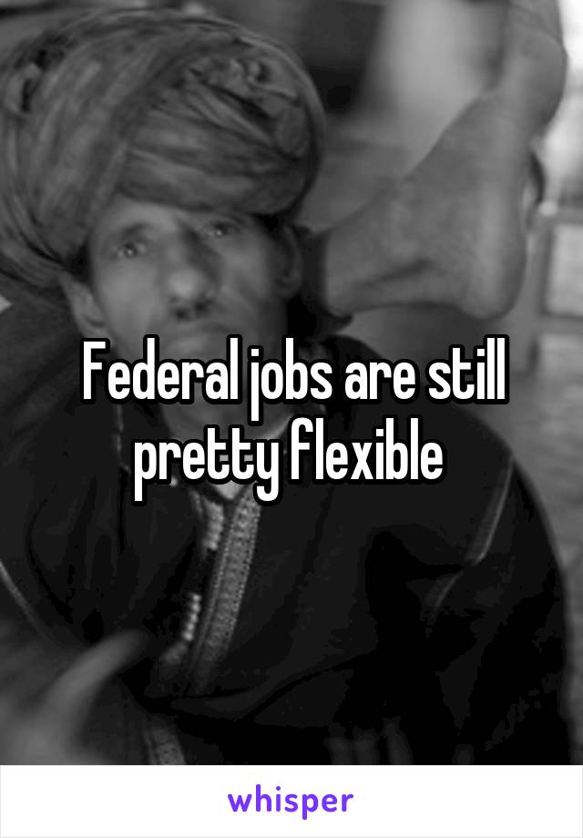 Federal jobs are still pretty flexible 