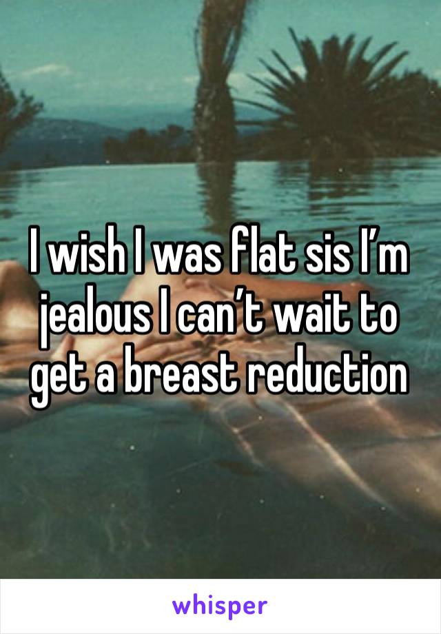 I wish I was flat sis I’m jealous I can’t wait to get a breast reduction 