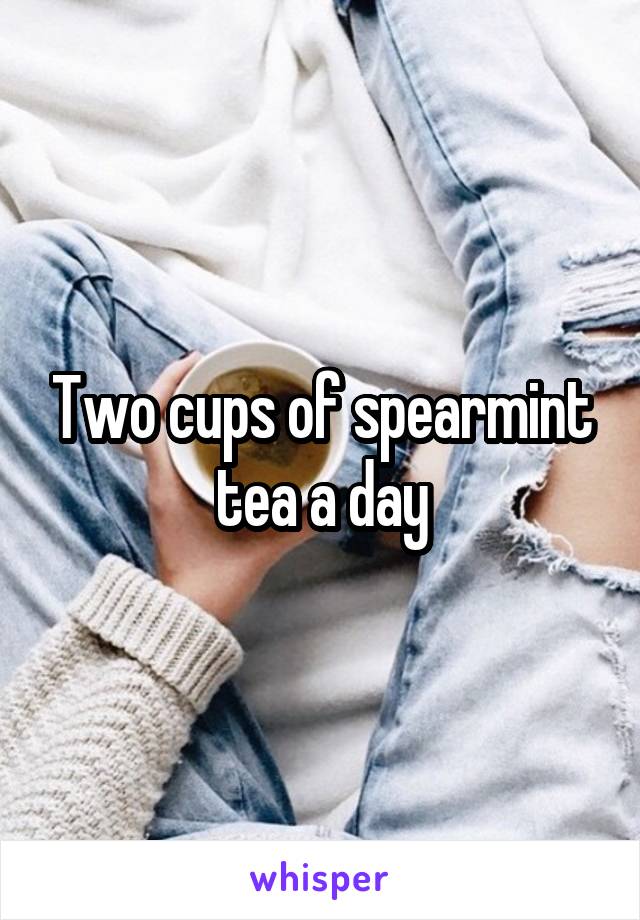 Two cups of spearmint tea a day