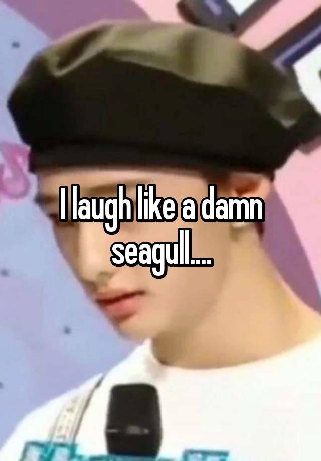 I laugh like a damn seagull....