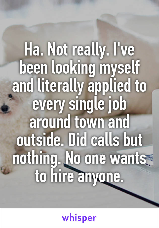 Ha. Not really. I've been looking myself and literally applied to every single job around town and outside. Did calls but nothing. No one wants to hire anyone.