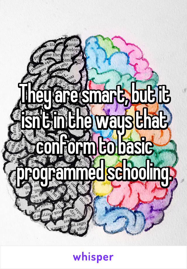 They are smart, but it isn't in the ways that conform to basic programmed schooling.