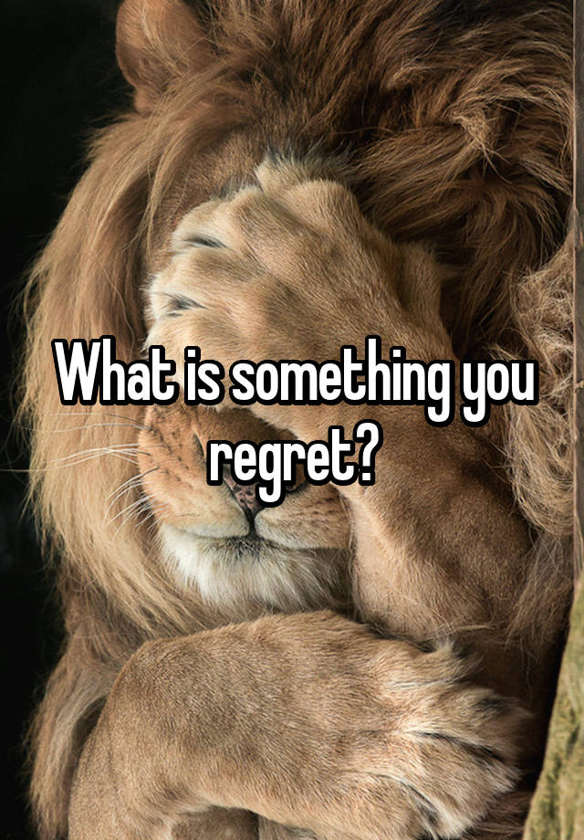 What is something you regret?