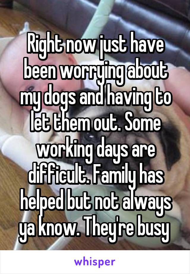 Right now just have been worrying about my dogs and having to let them out. Some working days are difficult. Family has helped but not always ya know. They're busy 