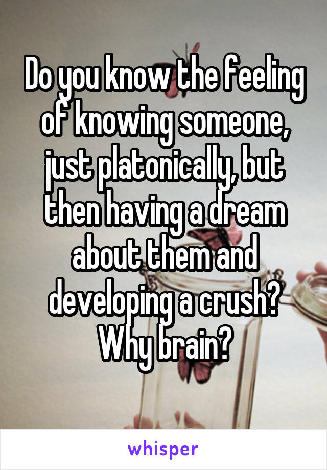 Do you know the feeling of knowing someone, just platonically, but then having a dream about them and developing a crush?
Why brain?
