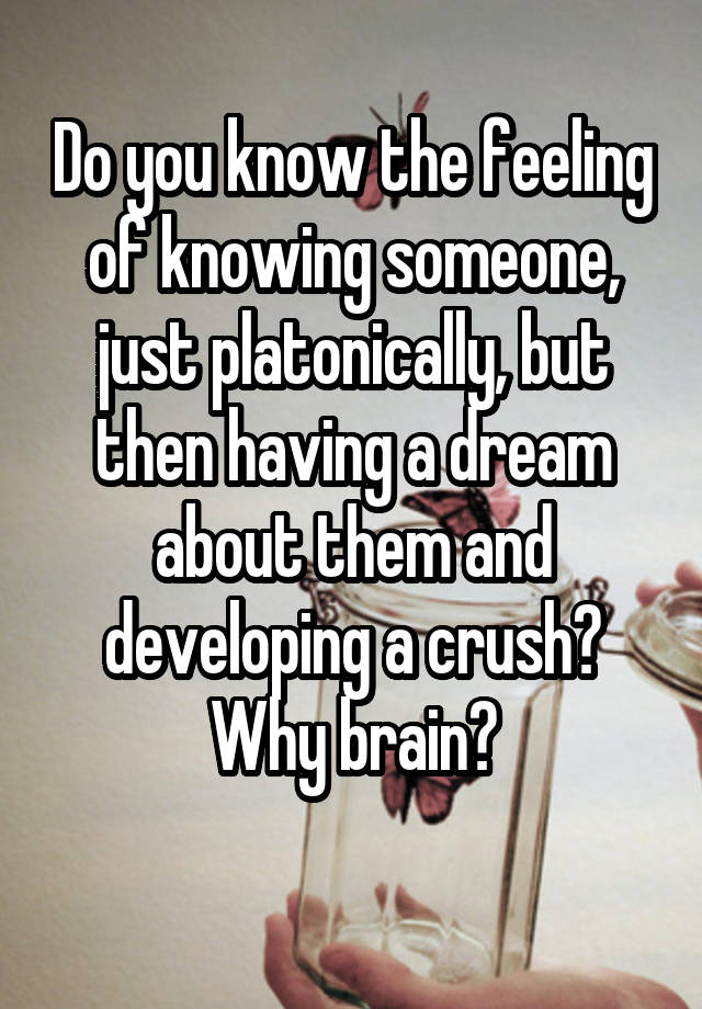 Do you know the feeling of knowing someone, just platonically, but then having a dream about them and developing a crush?
Why brain?
