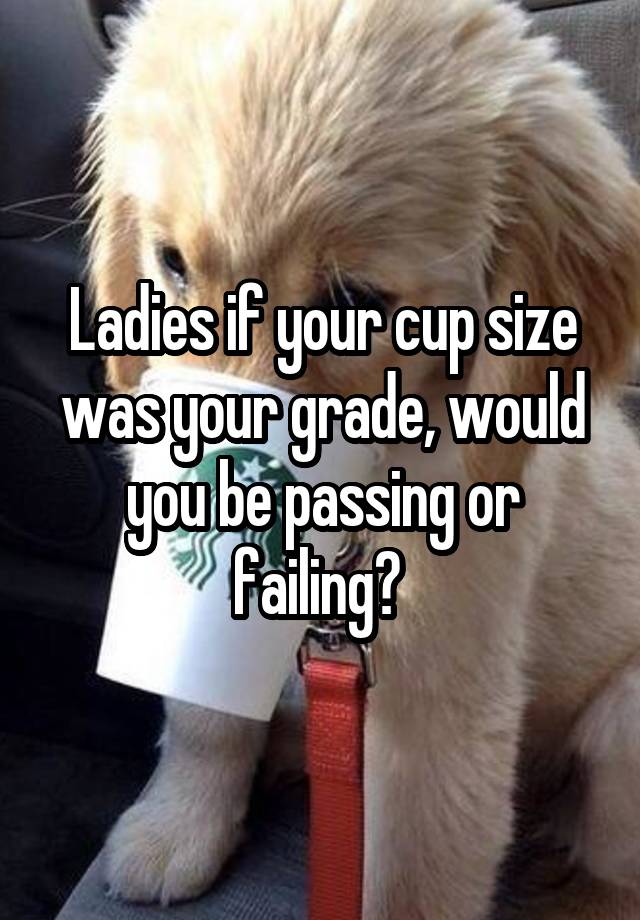 Ladies if your cup size was your grade, would you be passing or failing? 