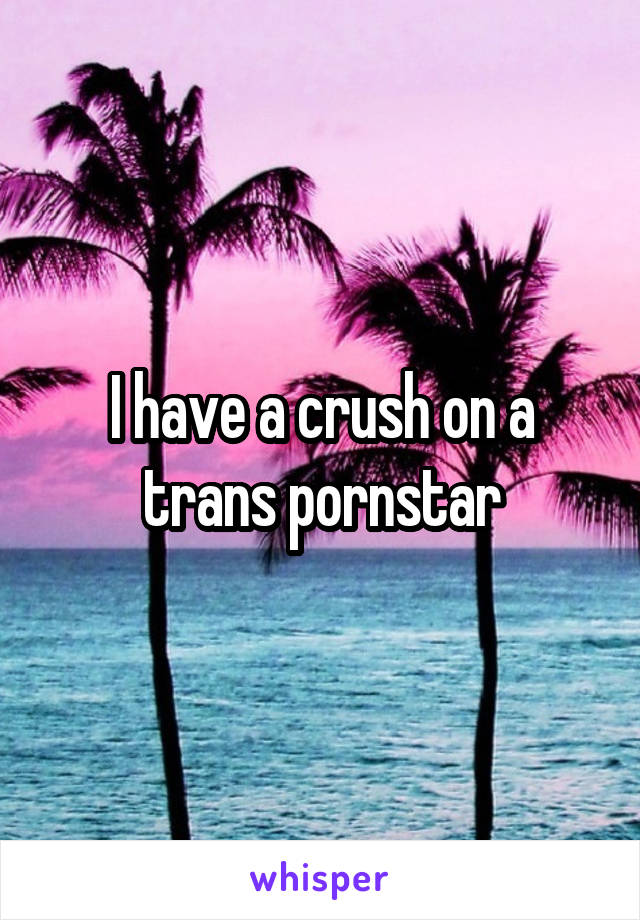 I have a crush on a trans pornstar