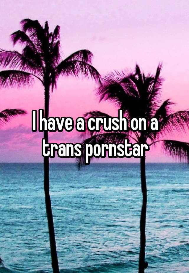 I have a crush on a trans pornstar