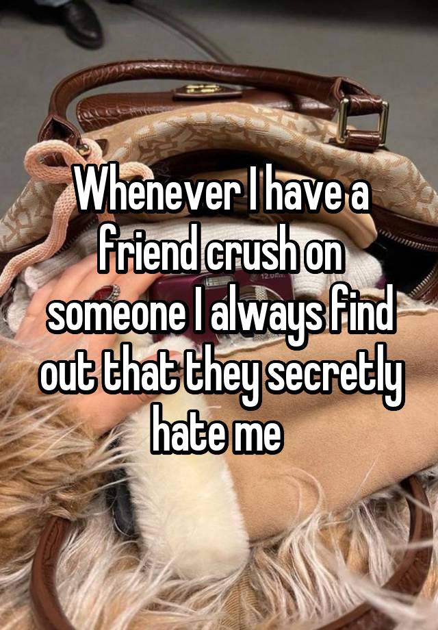 Whenever I have a friend crush on someone I always find out that they secretly hate me 