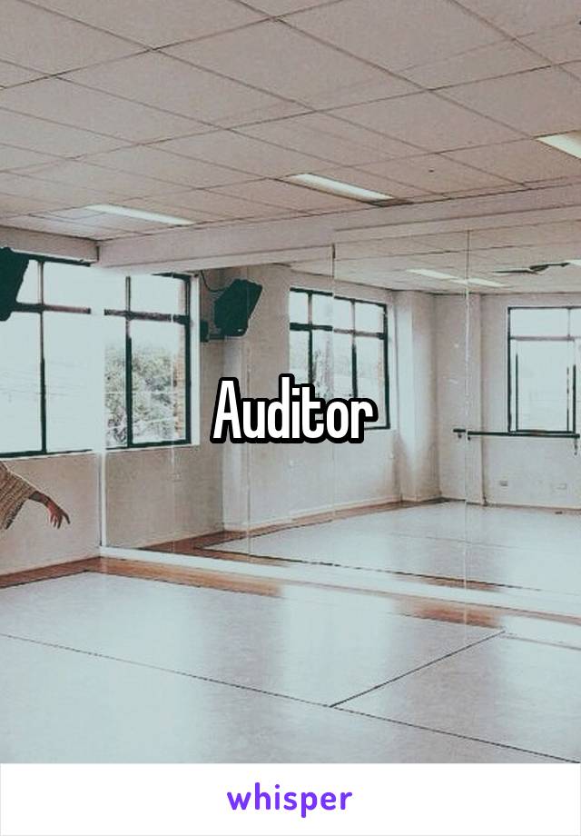 Auditor