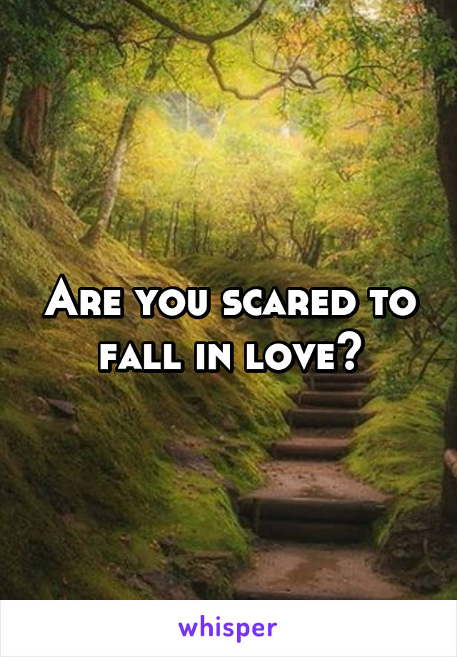 Are you scared to fall in love?