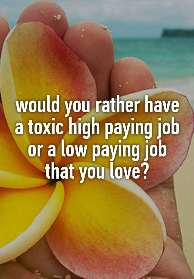 would you rather have a toxic high paying job
or a low paying job that you love?