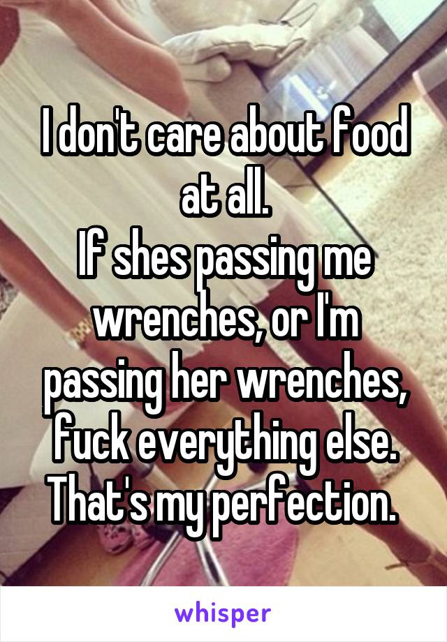 I don't care about food at all.
If shes passing me wrenches, or I'm passing her wrenches, fuck everything else. That's my perfection. 