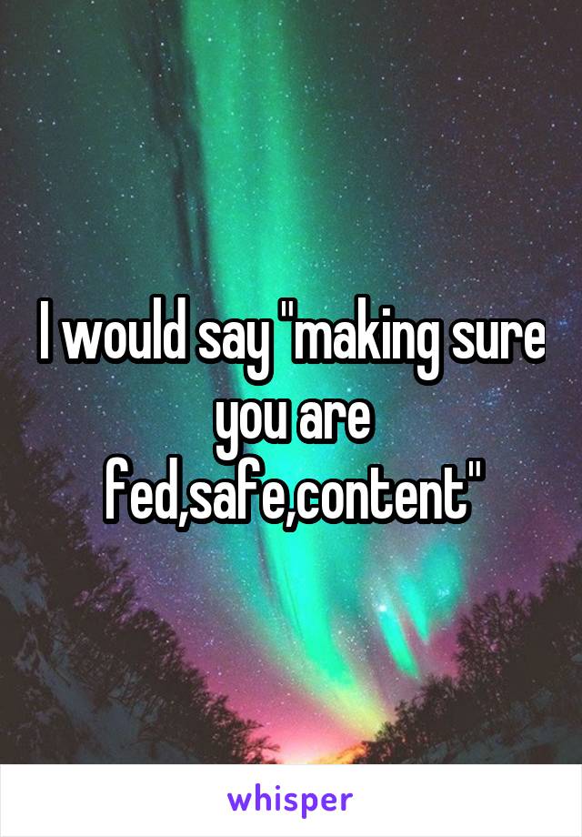 I would say "making sure you are fed,safe,content"