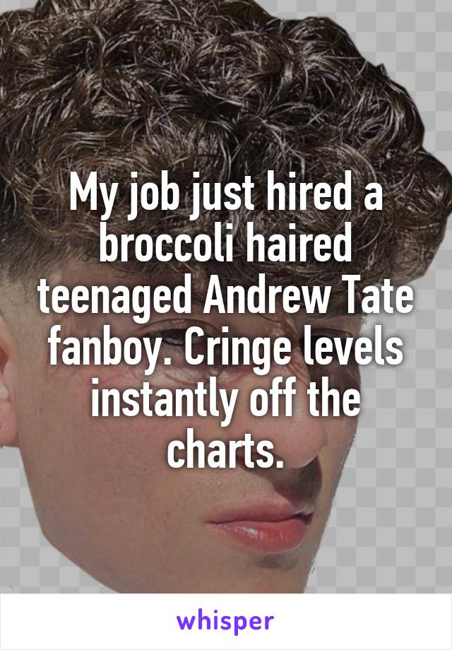 My job just hired a broccoli haired teenaged Andrew Tate fanboy. Cringe levels instantly off the charts.