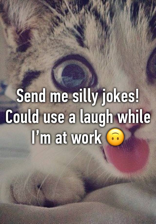 Send me silly jokes! Could use a laugh while I’m at work 🙃