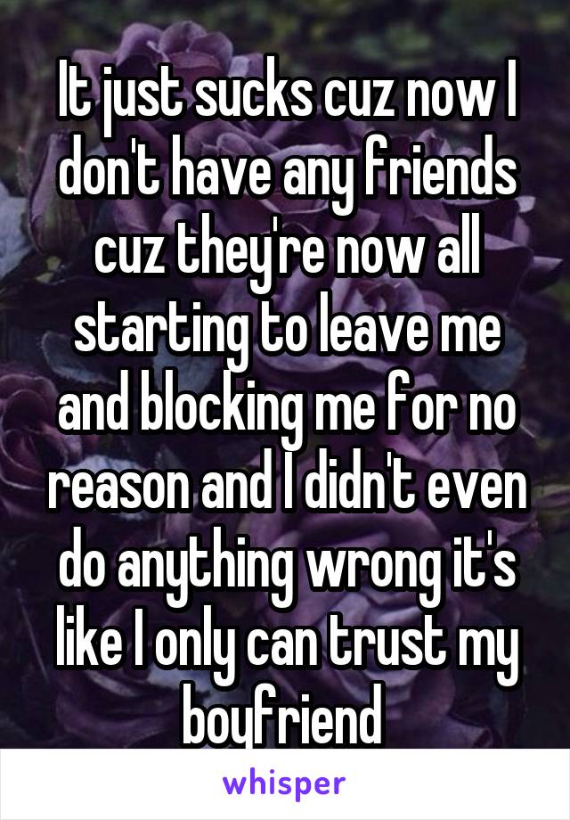 It just sucks cuz now I don't have any friends cuz they're now all starting to leave me and blocking me for no reason and I didn't even do anything wrong it's like I only can trust my boyfriend 