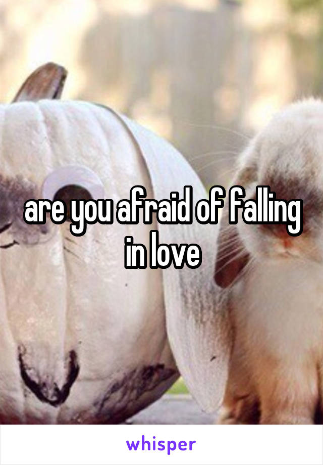 are you afraid of falling in love