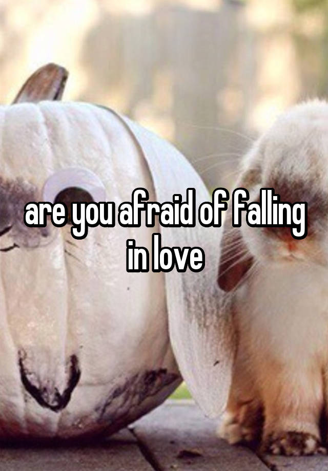 are you afraid of falling in love