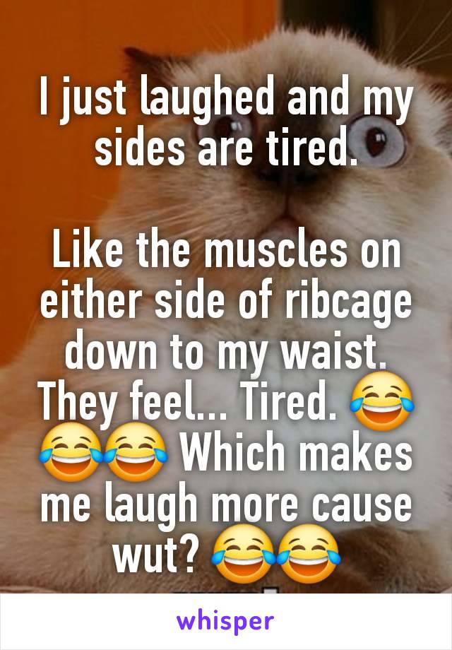 I just laughed and my sides are tired.

Like the muscles on either side of ribcage down to my waist. They feel... Tired. 😂😂😂 Which makes me laugh more cause wut? 😂😂