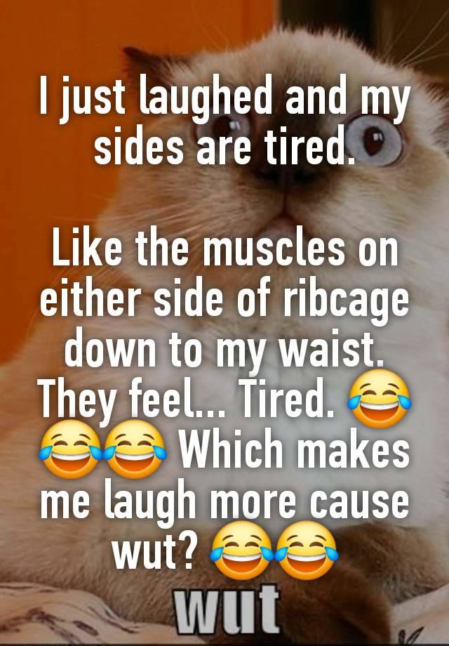 I just laughed and my sides are tired.

Like the muscles on either side of ribcage down to my waist. They feel... Tired. 😂😂😂 Which makes me laugh more cause wut? 😂😂