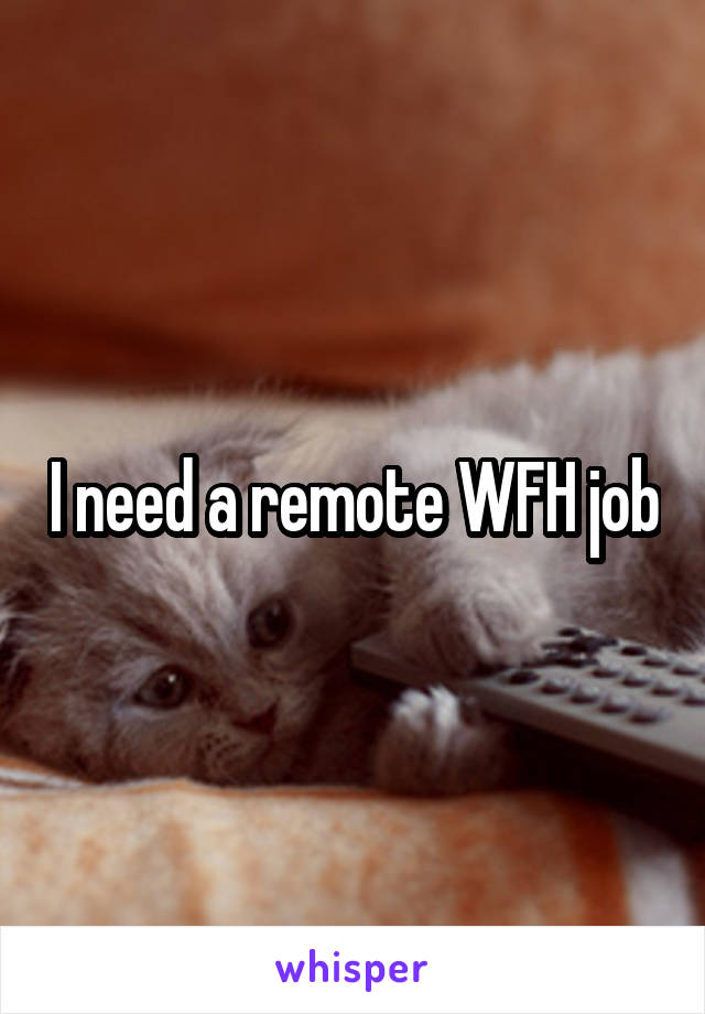 I need a remote WFH job