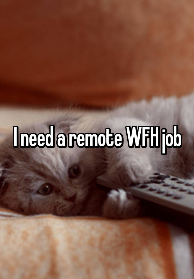 I need a remote WFH job