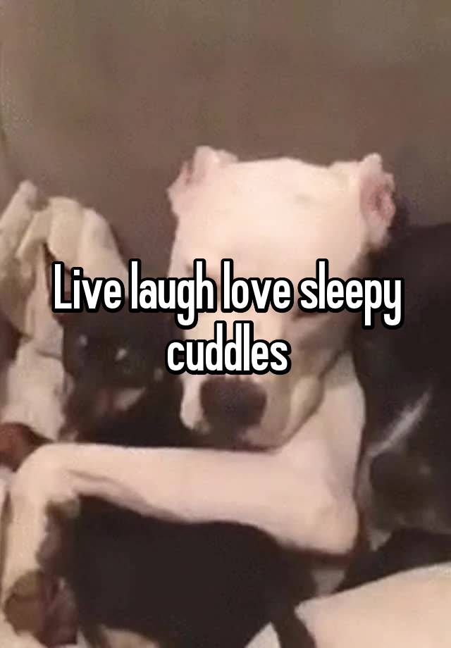 Live laugh love sleepy cuddles