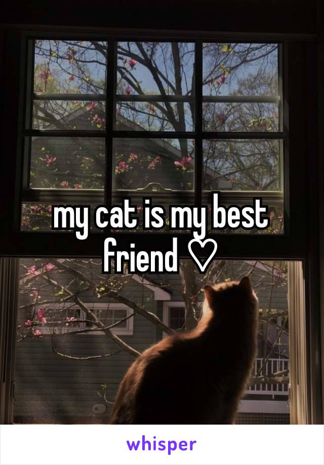 my cat is my best friend ♡