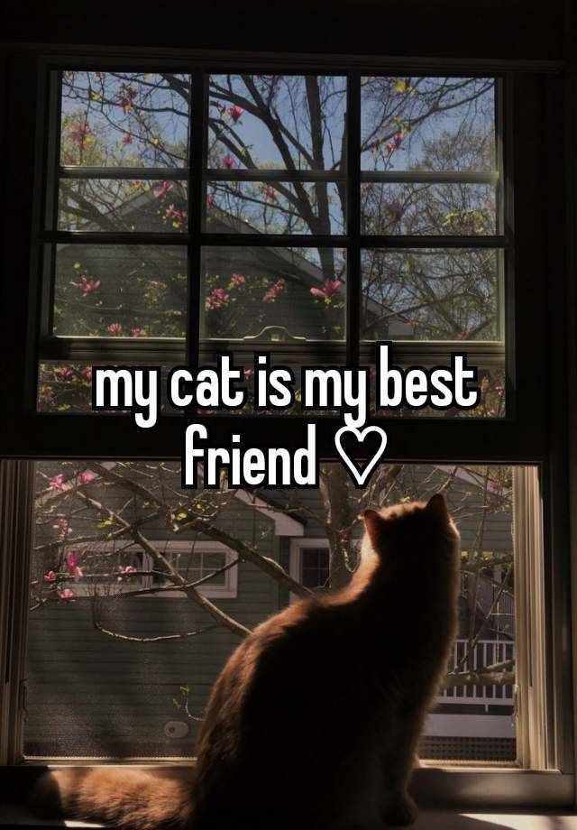 my cat is my best friend ♡