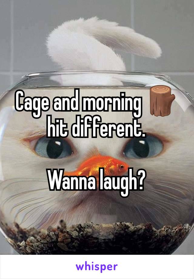 Cage and morning 🪵 hit different.

Wanna laugh?