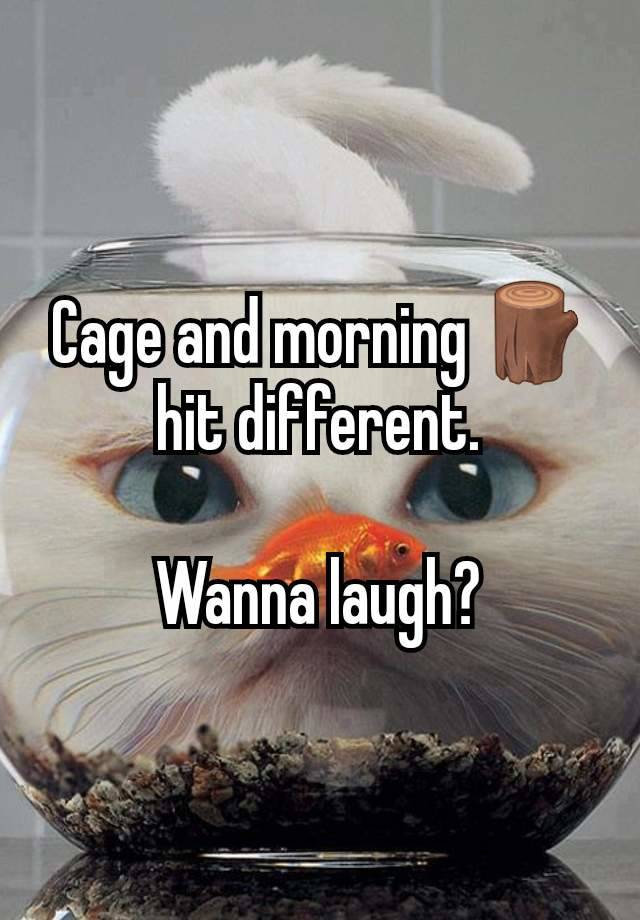 Cage and morning 🪵 hit different.

Wanna laugh?