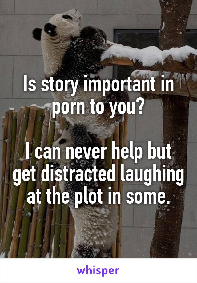 Is story important in porn to you?

I can never help but get distracted laughing at the plot in some.