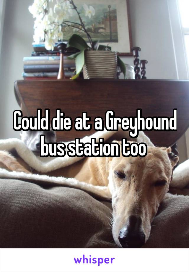 Could die at a Greyhound bus station too 