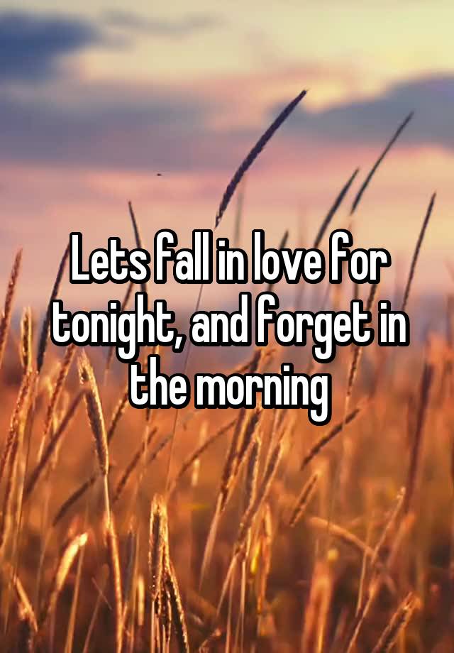 Lets fall in love for tonight, and forget in the morning