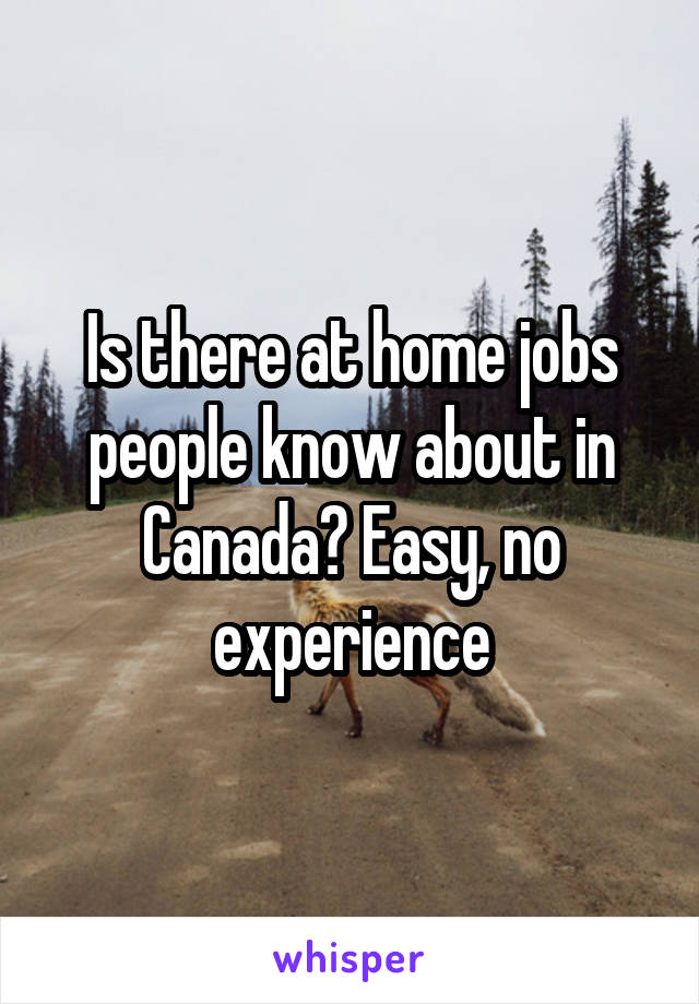 Is there at home jobs people know about in Canada? Easy, no experience