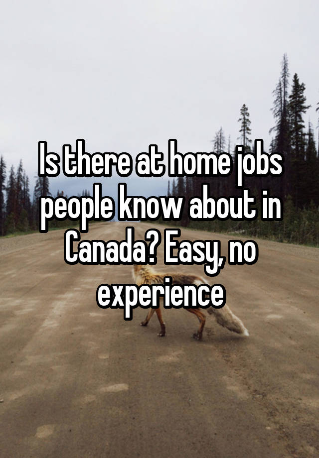 Is there at home jobs people know about in Canada? Easy, no experience