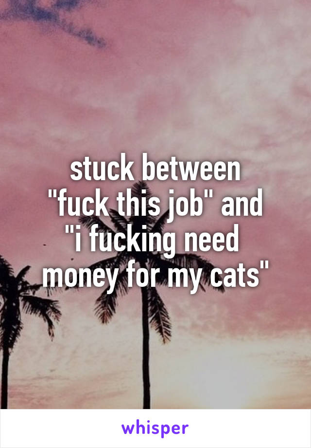 stuck between
"fuck this job" and
"i fucking need  money for my cats"