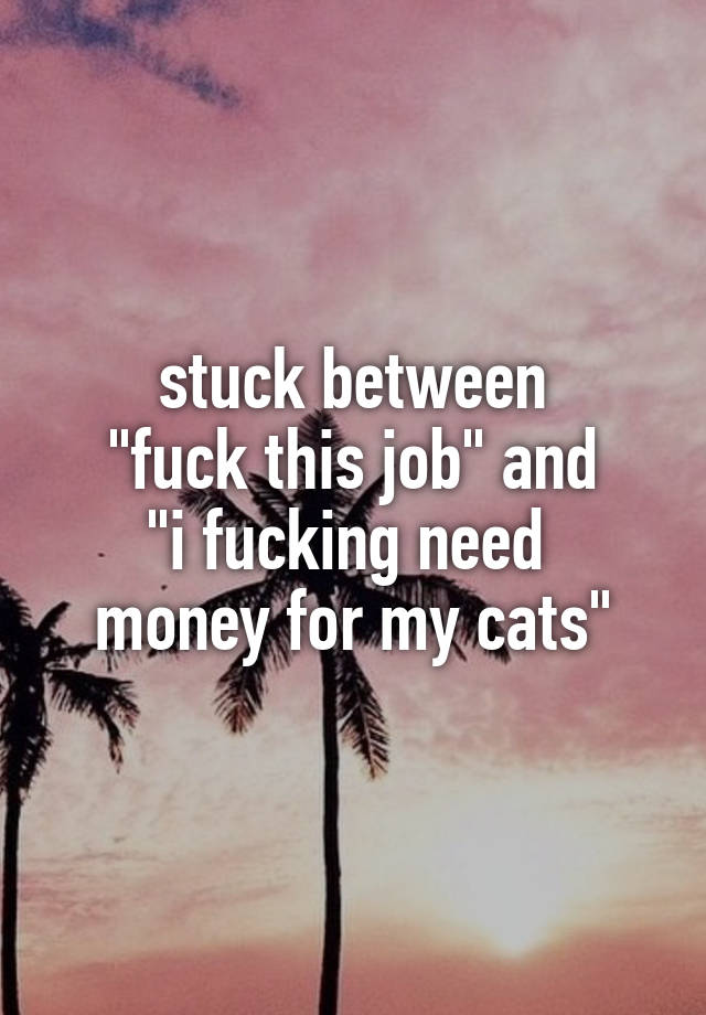 stuck between
"fuck this job" and
"i fucking need  money for my cats"