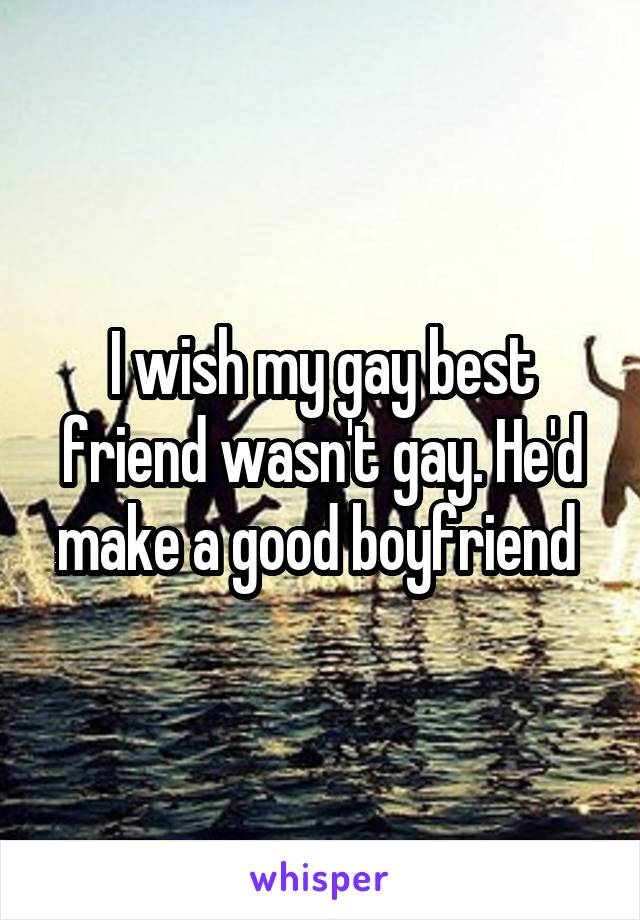 I wish my gay best friend wasn't gay. He'd make a good boyfriend 