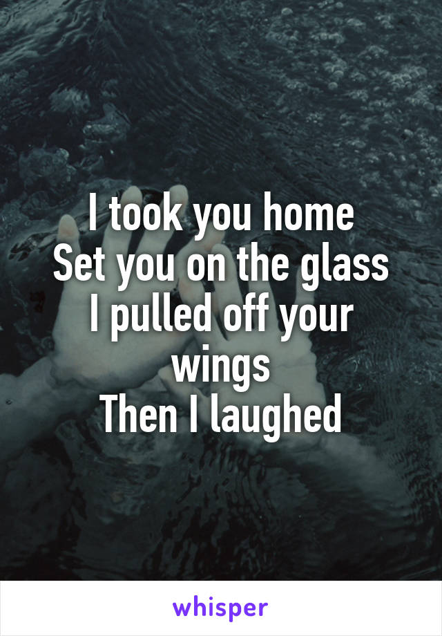 I took you home
Set you on the glass
I pulled off your wings
Then I laughed