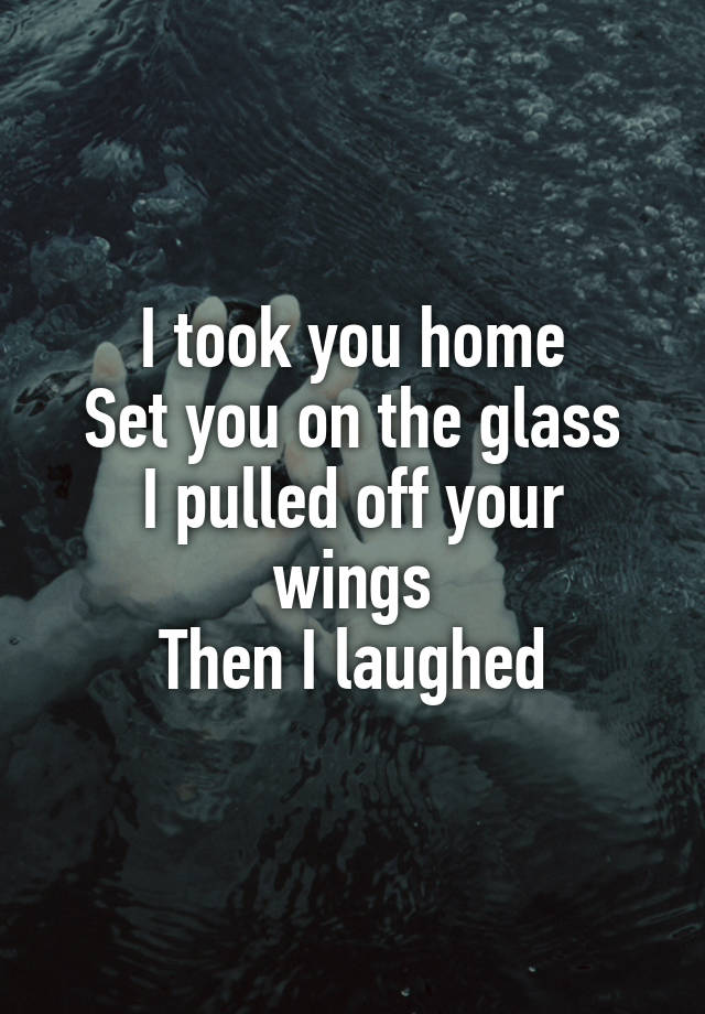 I took you home
Set you on the glass
I pulled off your wings
Then I laughed