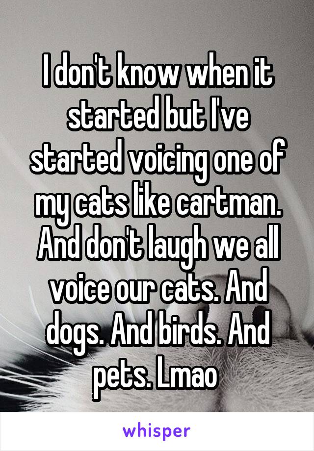 I don't know when it started but I've started voicing one of my cats like cartman.
And don't laugh we all voice our cats. And dogs. And birds. And pets. Lmao 