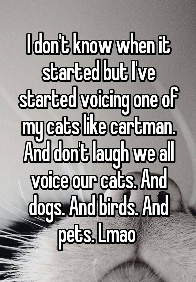 I don't know when it started but I've started voicing one of my cats like cartman.
And don't laugh we all voice our cats. And dogs. And birds. And pets. Lmao 