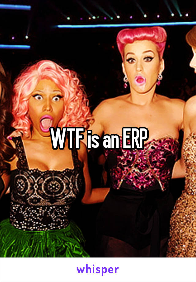 WTF is an ERP