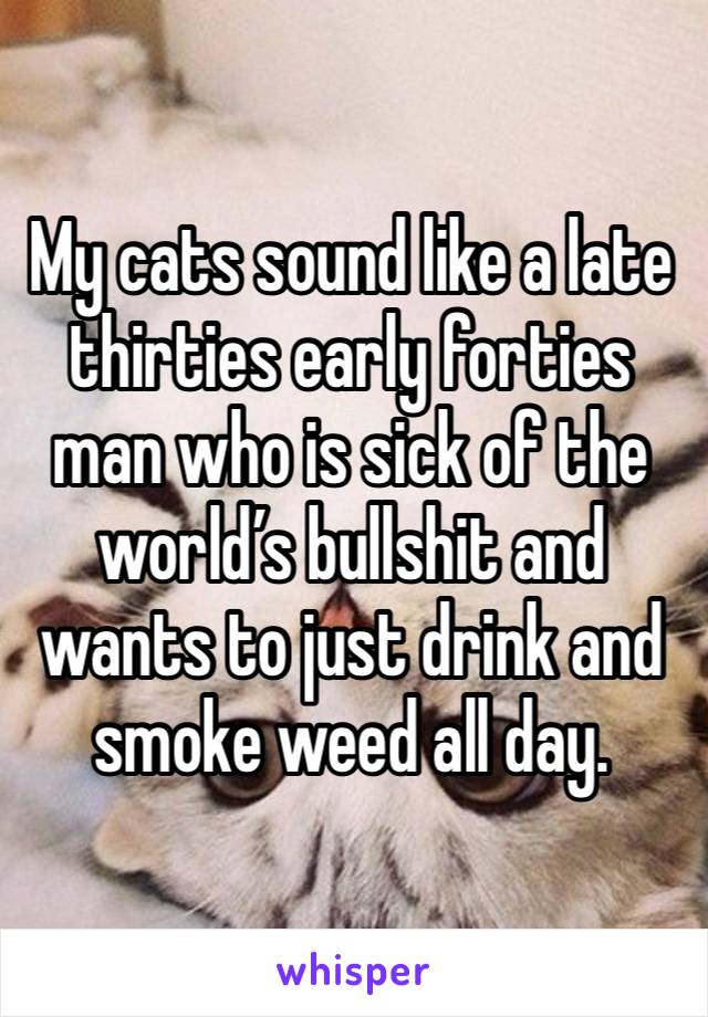 My cats sound like a late thirties early forties man who is sick of the world’s bullshit and wants to just drink and smoke weed all day. 