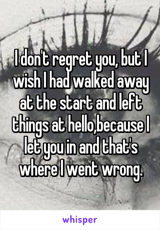 I don't regret you, but I wish I had walked away at the start and left things at hello,because I let you in and that's where I went wrong.